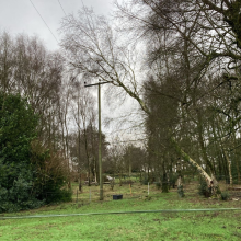 A tree that has fallen into power lines in West Yorkshire as a result of Storm Darragh