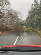 Tree down across road caused by Storm Darragh